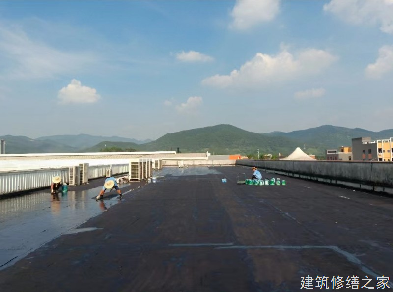 温州2026苍南县 彩钢瓦除锈翻新防腐 价格是多少